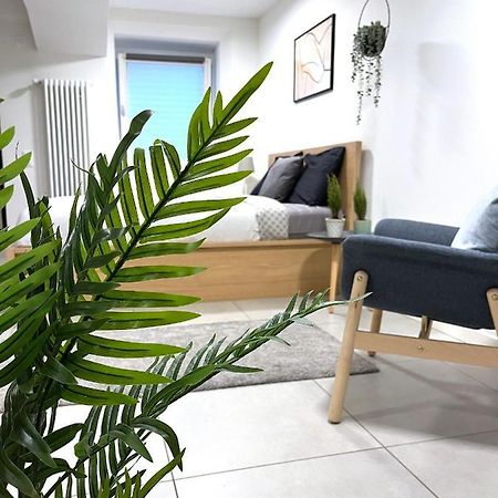 The Hidden Studio; Comfy & Close To The Lake ルガーノ エクステリア 写真