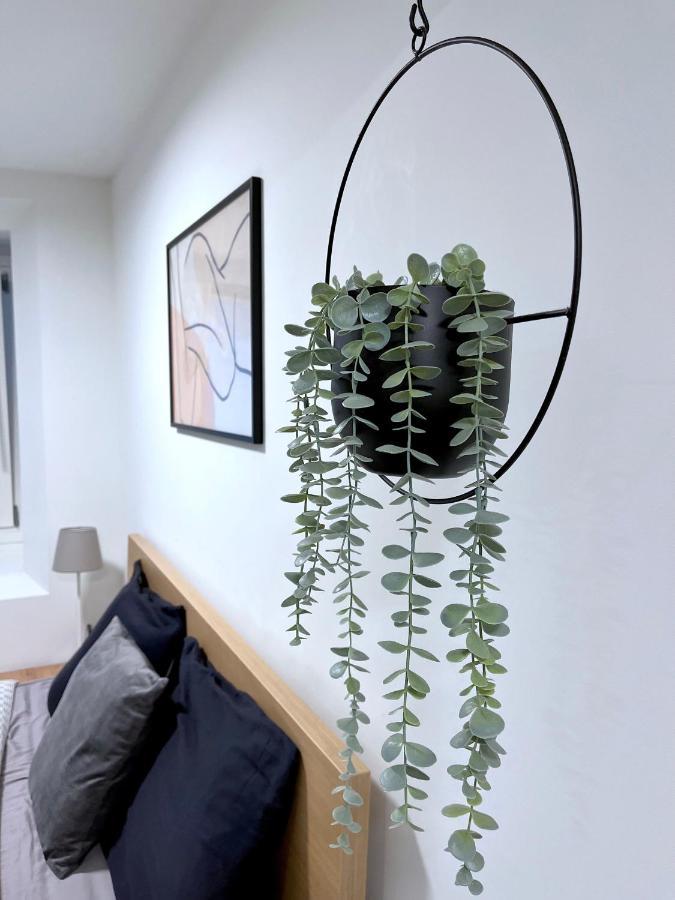 The Hidden Studio; Comfy & Close To The Lake ルガーノ エクステリア 写真